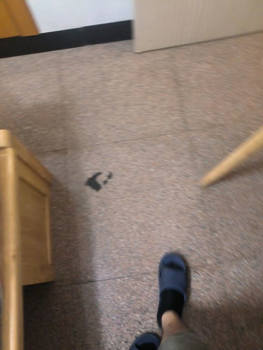 18159381885 的图片