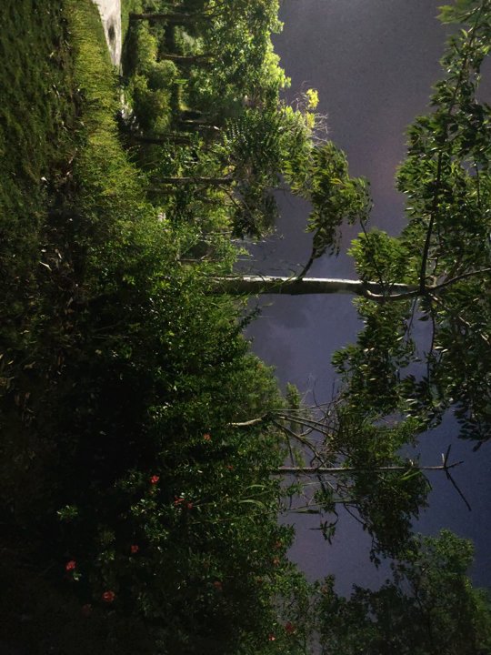 18159381885 的图片