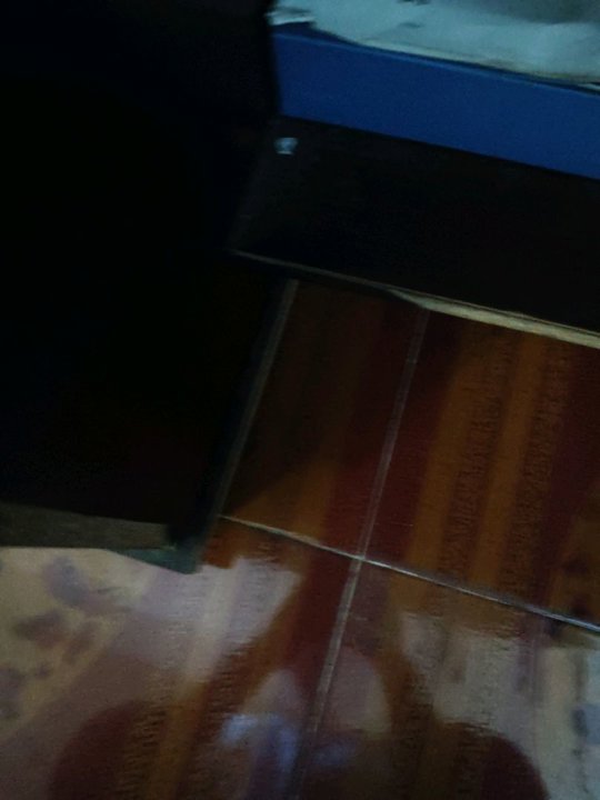 18189381885 的图片