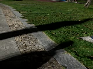 18159381885 的图片